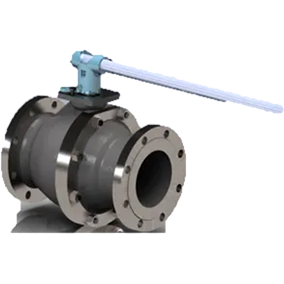 Vcort03
